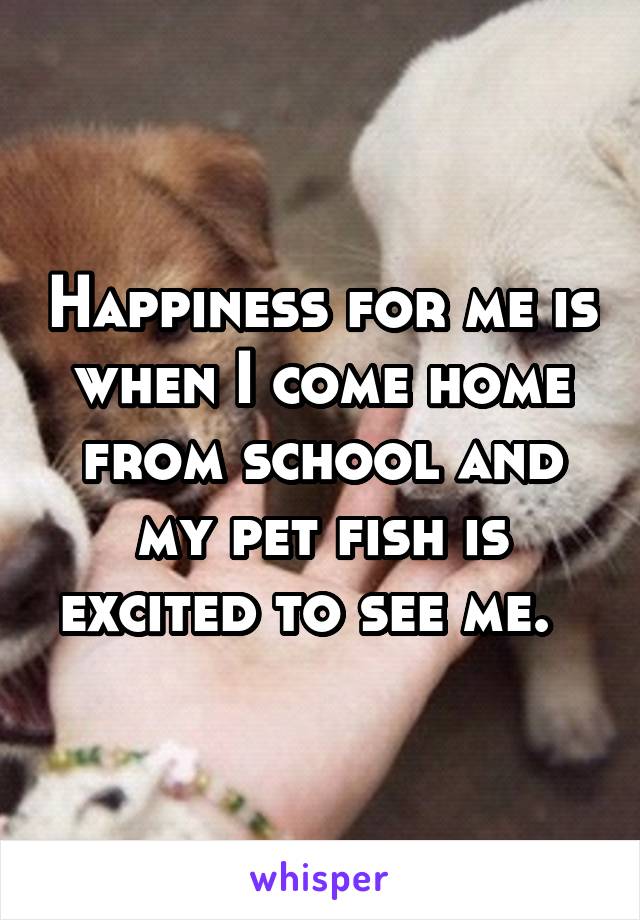 Happiness for me is when I come home from school and my pet fish is excited to see me.  