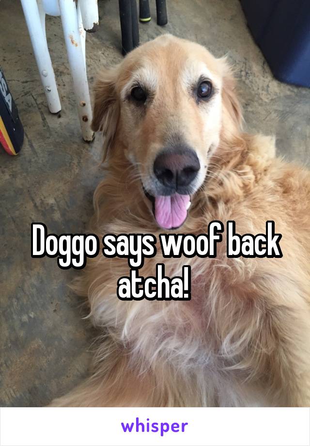 

Doggo says woof back atcha! 