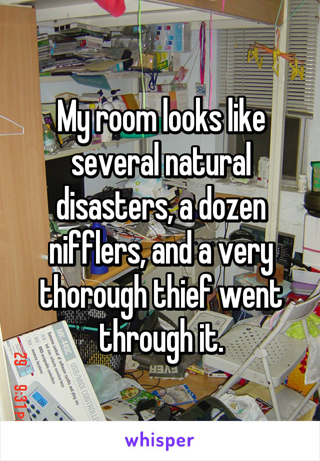 My room looks like several natural disasters, a dozen nifflers, and a very thorough thief went through it.