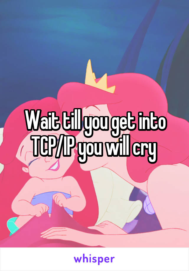 Wait till you get into TCP/IP you will cry 