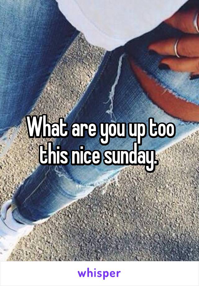 What are you up too this nice sunday. 