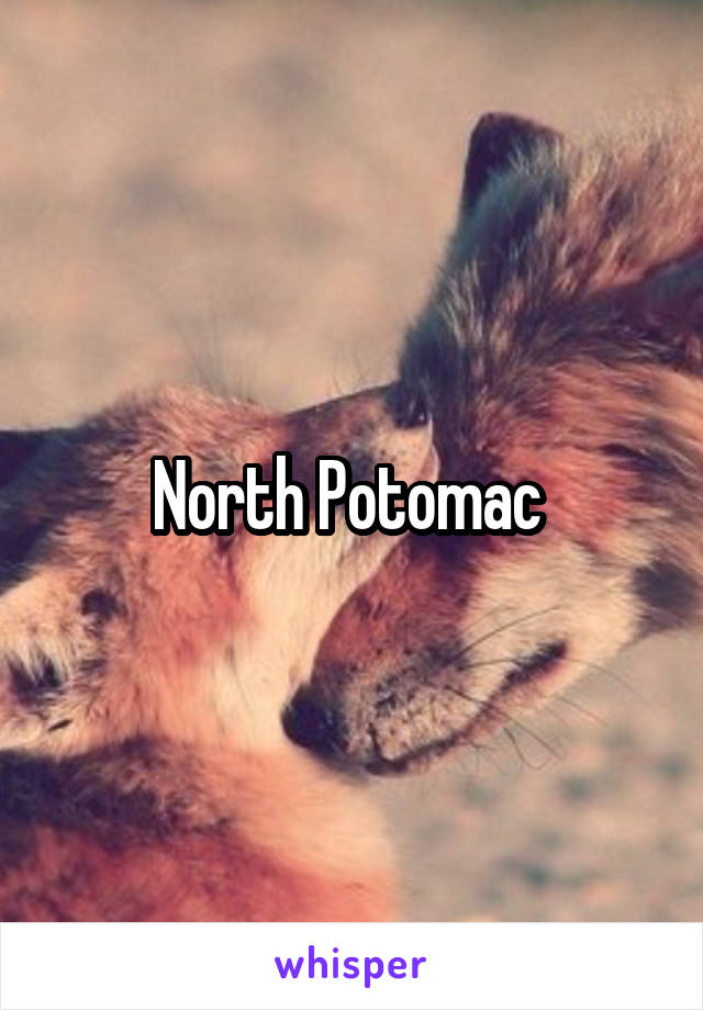 North Potomac 