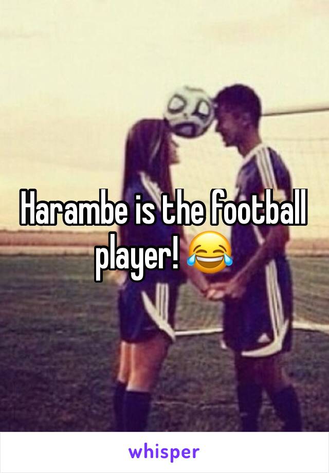 Harambe is the football player! 😂