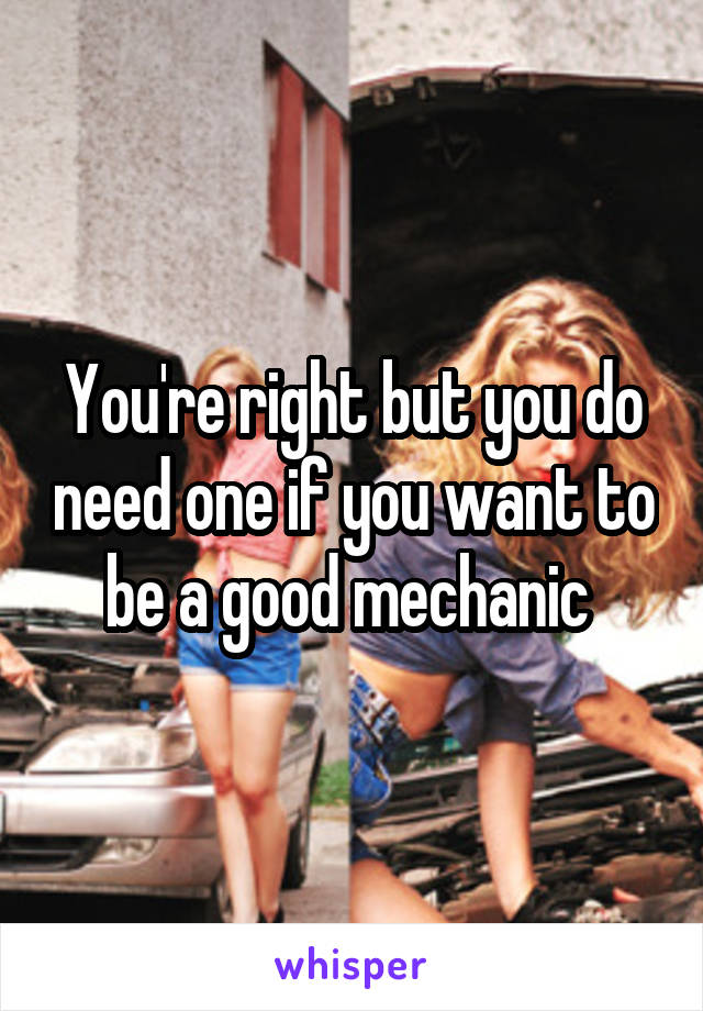 You're right but you do need one if you want to be a good mechanic 