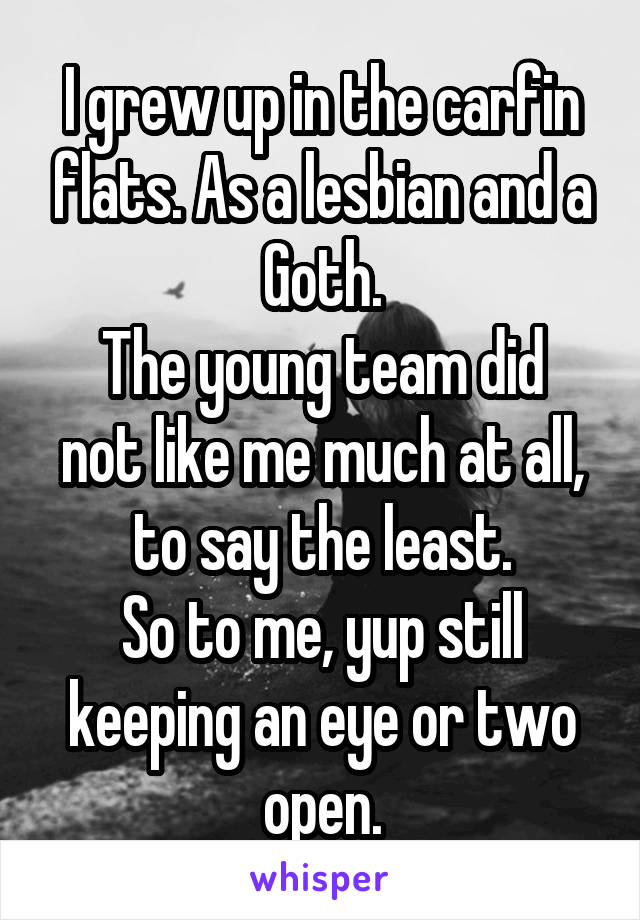 I grew up in the carfin flats. As a lesbian and a Goth.
The young team did not like me much at all, to say the least.
So to me, yup still keeping an eye or two open.
