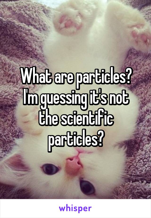 What are particles?
I'm guessing it's not the scientific particles?