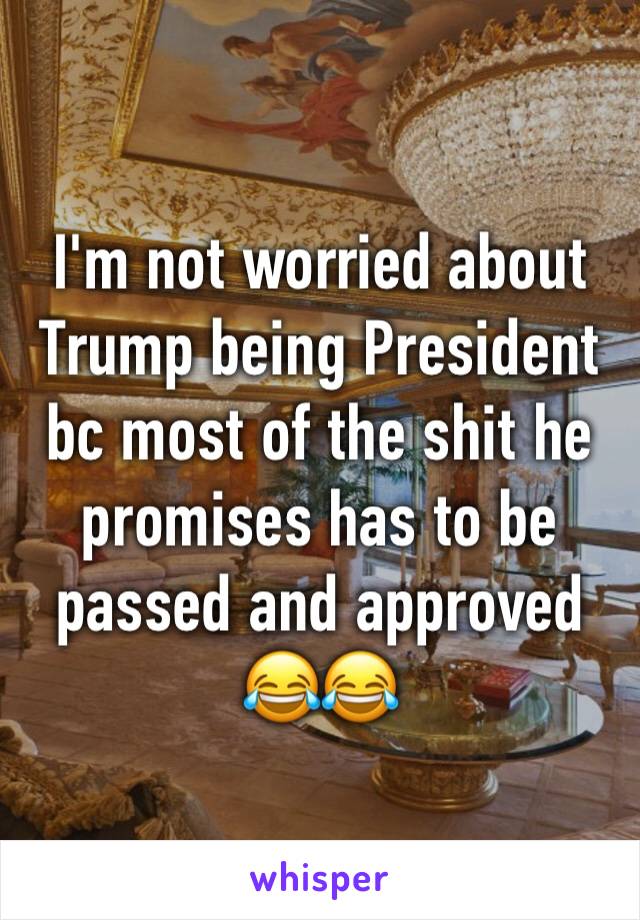 I'm not worried about Trump being President bc most of the shit he promises has to be passed and approved 😂😂 