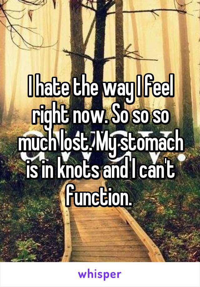 I hate the way I feel right now. So so so much lost. My stomach is in knots and I can't function. 