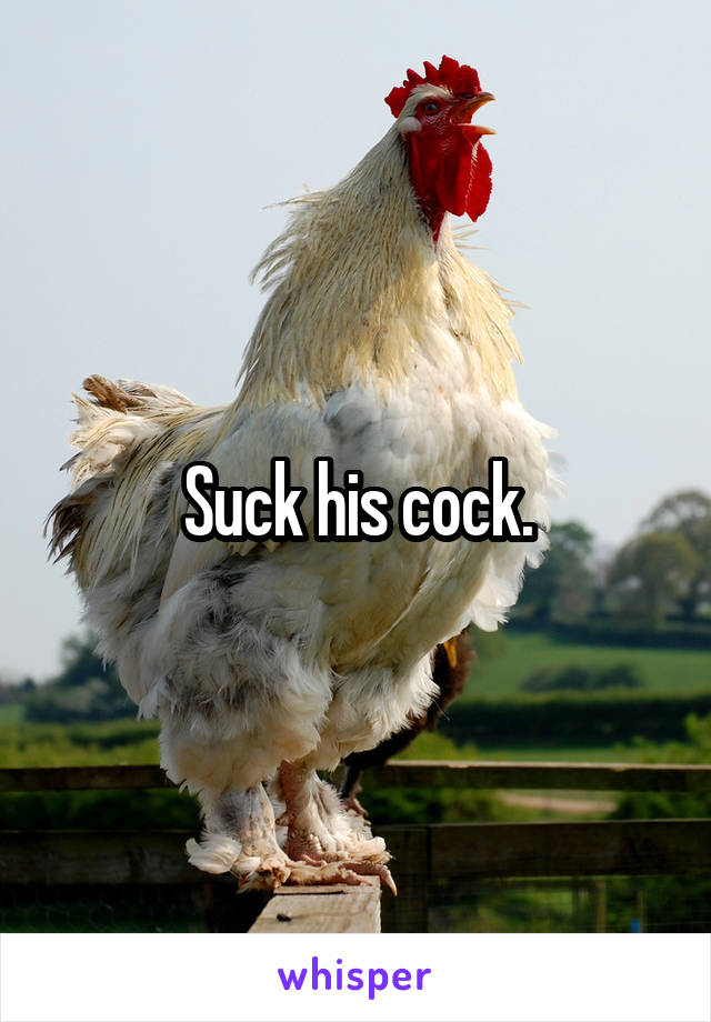 Suck his cock.