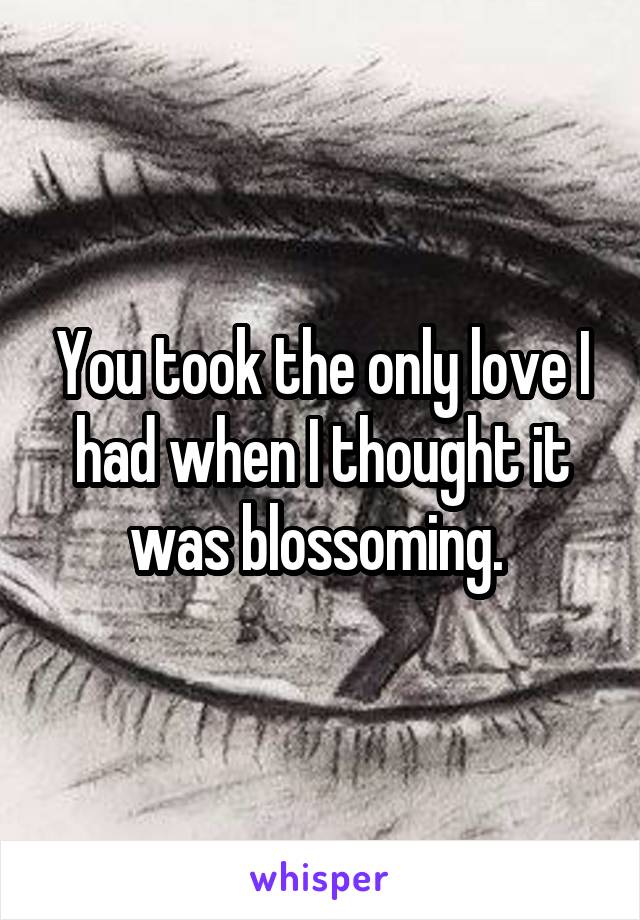 You took the only love I had when I thought it was blossoming. 