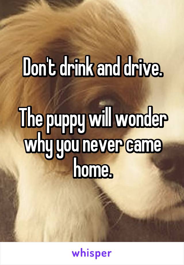 Don't drink and drive.

The puppy will wonder why you never came home.
