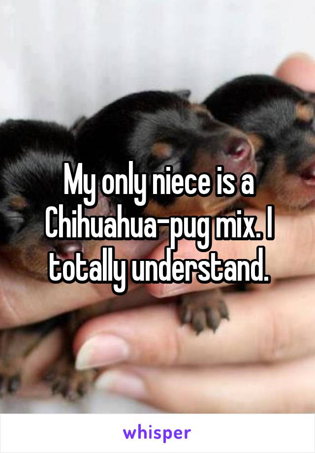 My only niece is a Chihuahua-pug mix. I totally understand.