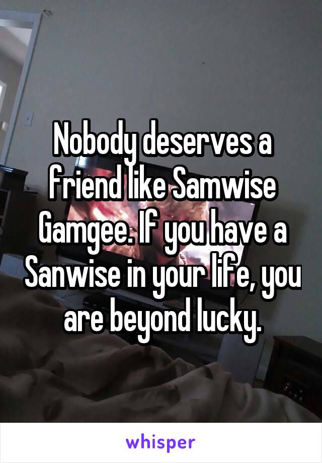Nobody deserves a friend like Samwise Gamgee. If you have a Sanwise in your life, you are beyond lucky.
