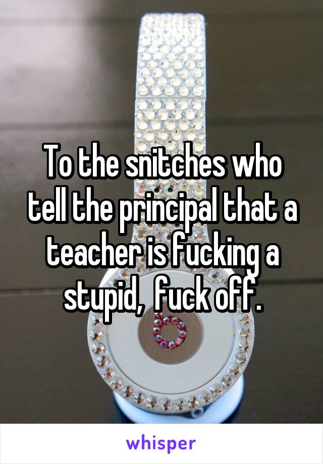 To the snitches who tell the principal that a teacher is fucking a stupid,  fuck off.
