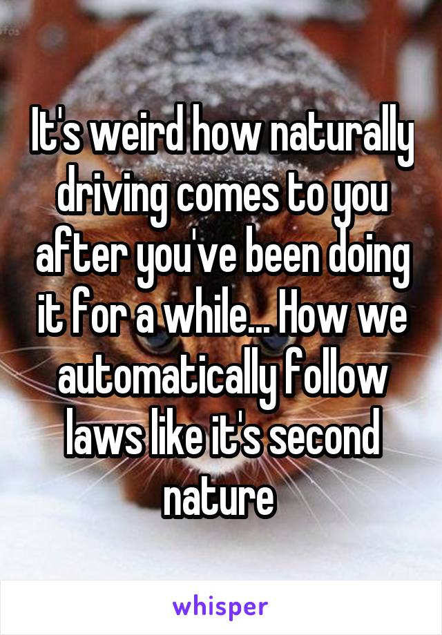 It's weird how naturally driving comes to you after you've been doing it for a while... How we automatically follow laws like it's second nature 
