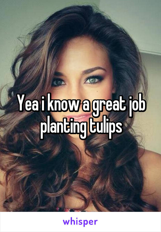 Yea i know a great job planting tulips