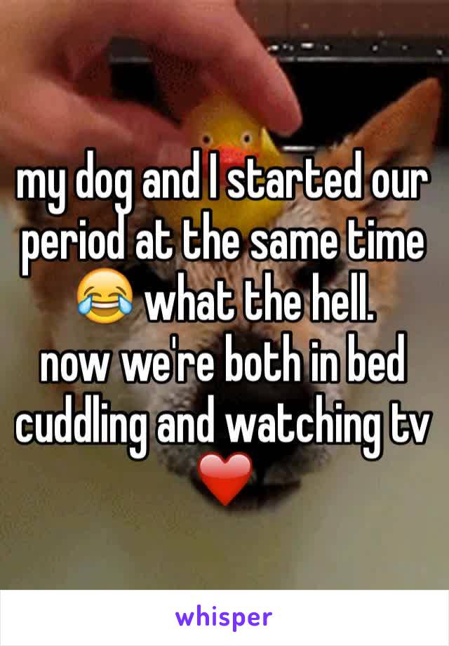 my dog and I started our
period at the same time 😂 what the hell.
now we're both in bed cuddling and watching tv ❤️