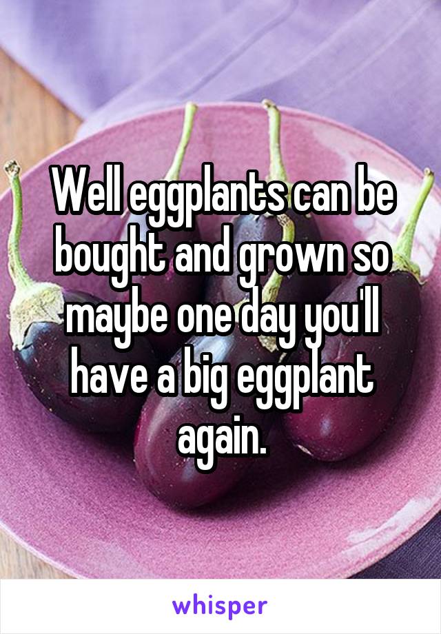 Well eggplants can be bought and grown so maybe one day you'll have a big eggplant again.