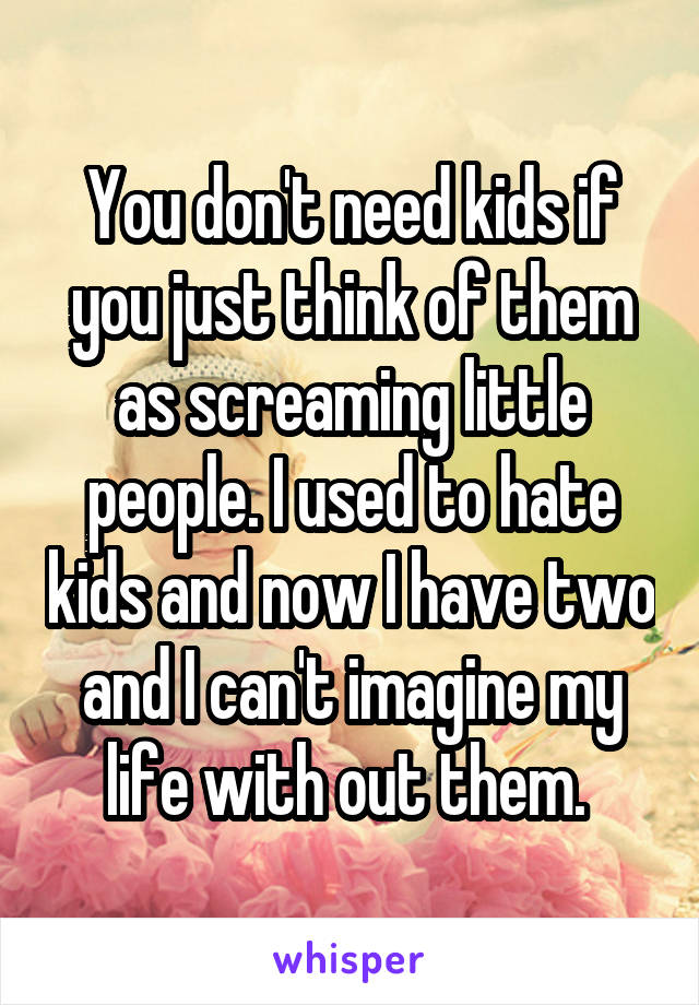 You don't need kids if you just think of them as screaming little people. I used to hate kids and now I have two and I can't imagine my life with out them. 