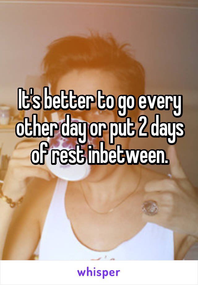 It's better to go every other day or put 2 days of rest inbetween.
