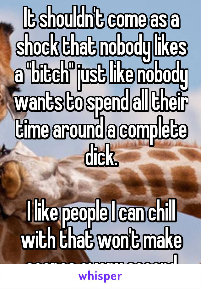 It shouldn't come as a shock that nobody likes a "bitch" just like nobody wants to spend all their time around a complete dick.

I like people I can chill with that won't make scenes every second