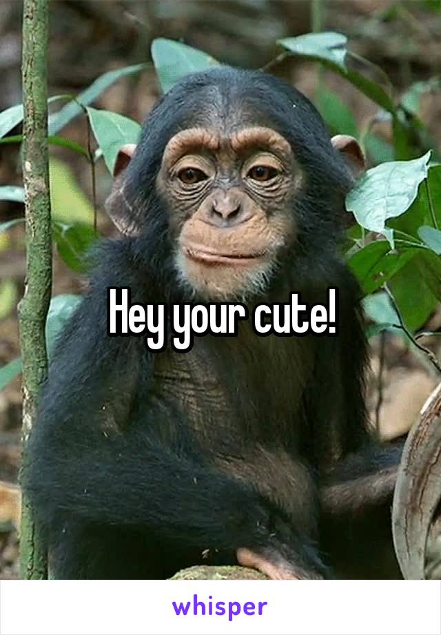 Hey your cute!