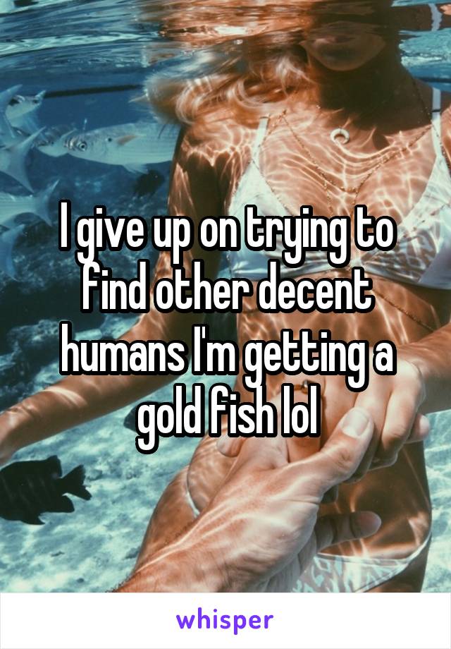 I give up on trying to find other decent humans I'm getting a gold fish lol