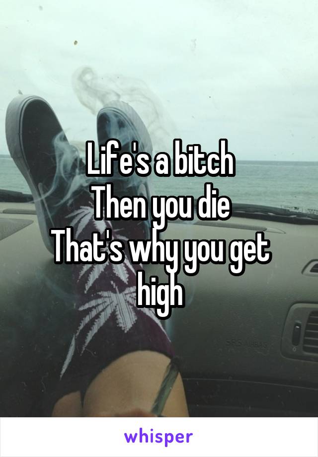 Life's a bitch
Then you die
That's why you get high