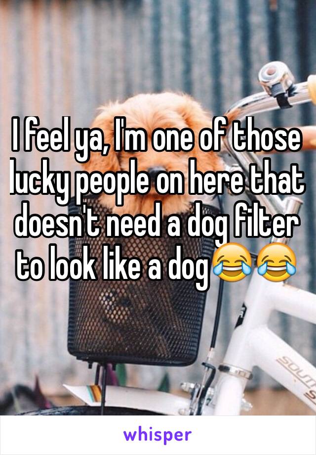 I feel ya, I'm one of those lucky people on here that doesn't need a dog filter to look like a dog😂😂