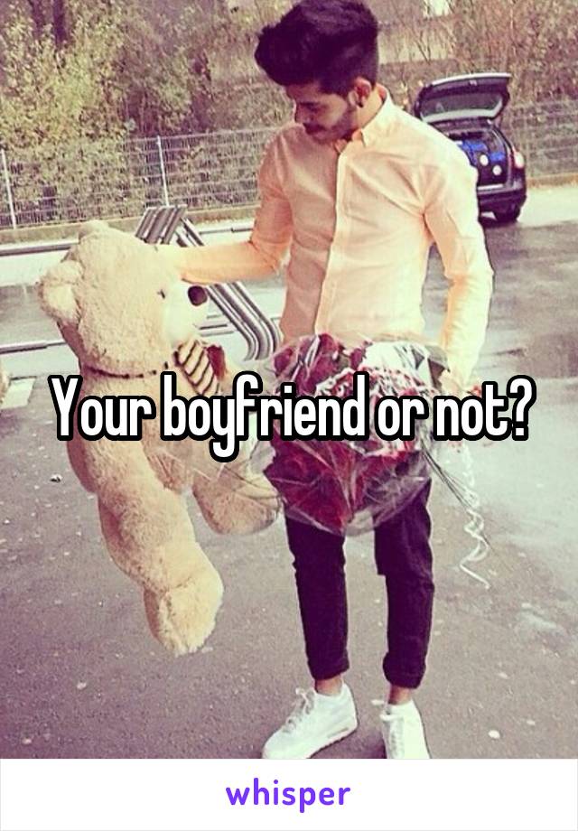 Your boyfriend or not?