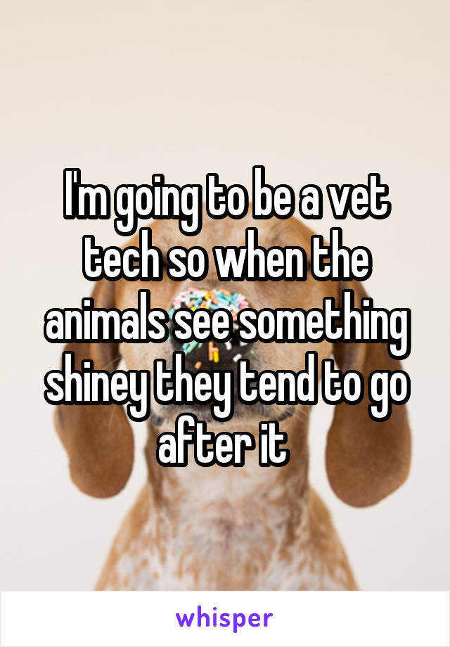 I'm going to be a vet tech so when the animals see something shiney they tend to go after it 