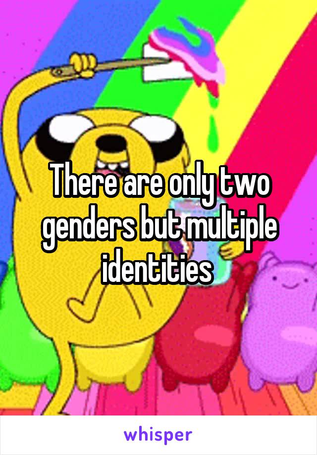 There are only two genders but multiple identities 