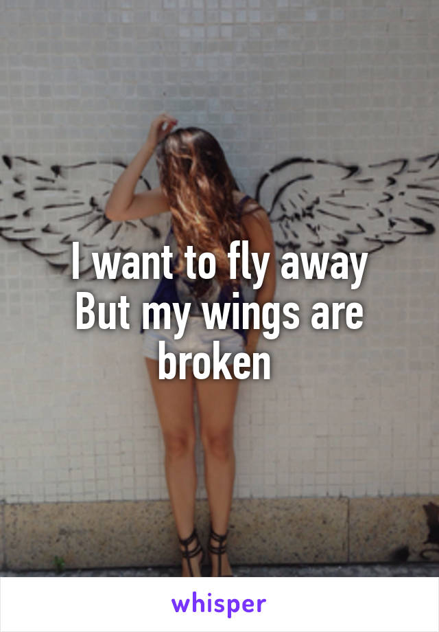 I want to fly away
But my wings are broken 