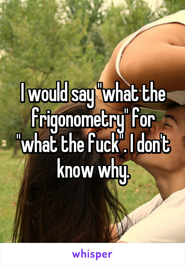 I would say "what the frigonometry" for "what the fuck". I don't know why.