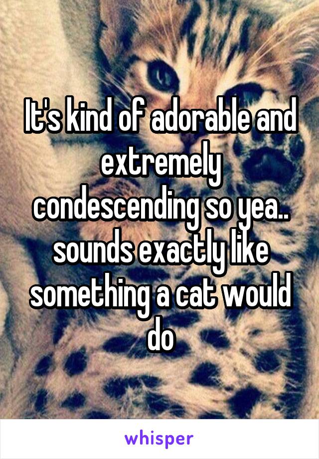 It's kind of adorable and extremely condescending so yea.. sounds exactly like something a cat would do