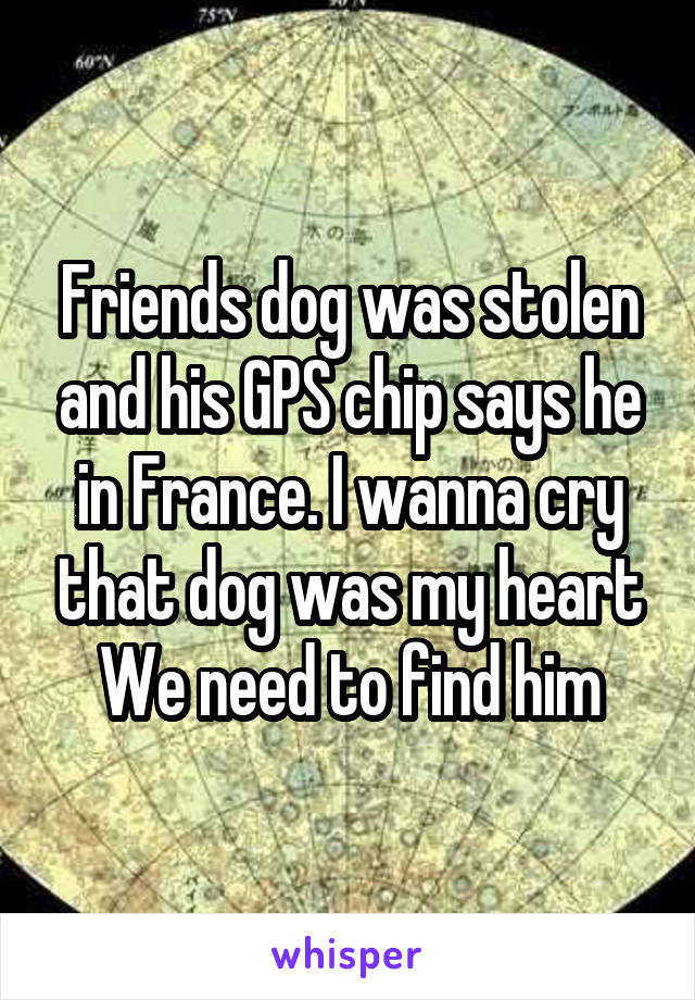 Friends dog was stolen and his GPS chip says he in France. I wanna cry that dog was my heart
We need to find him