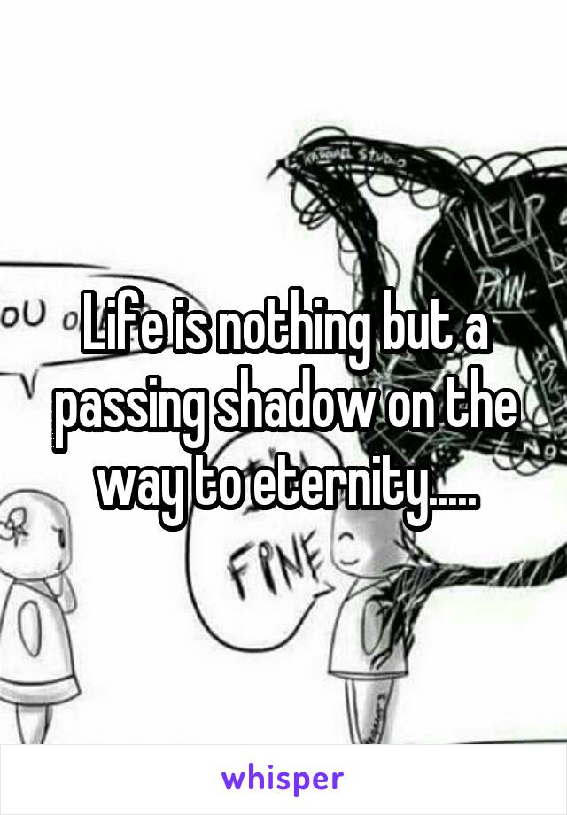Life is nothing but a passing shadow on the way to eternity.....