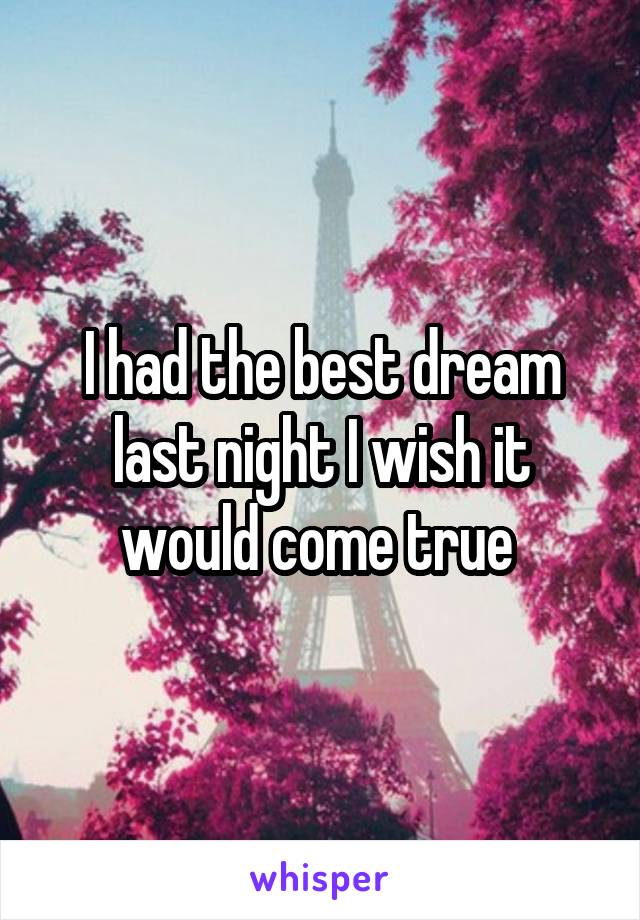 I had the best dream last night I wish it would come true 
