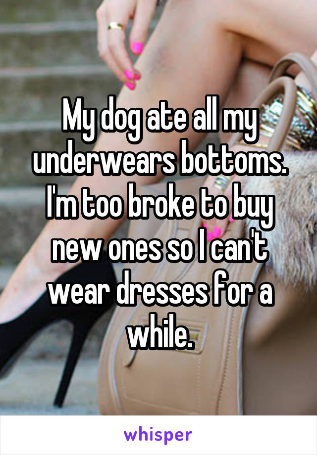 My dog ate all my underwears bottoms. I'm too broke to buy new ones so I can't wear dresses for a while.