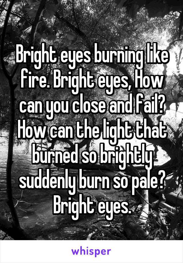 Bright eyes burning like fire. Bright eyes, How can you close and fail? How can the light that burned so brightly suddenly burn so pale? Bright eyes.