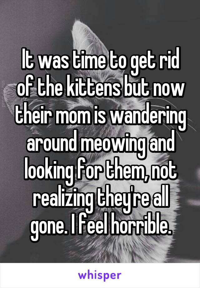 It was time to get rid of the kittens but now their mom is wandering around meowing and looking for them, not realizing they're all gone. I feel horrible.