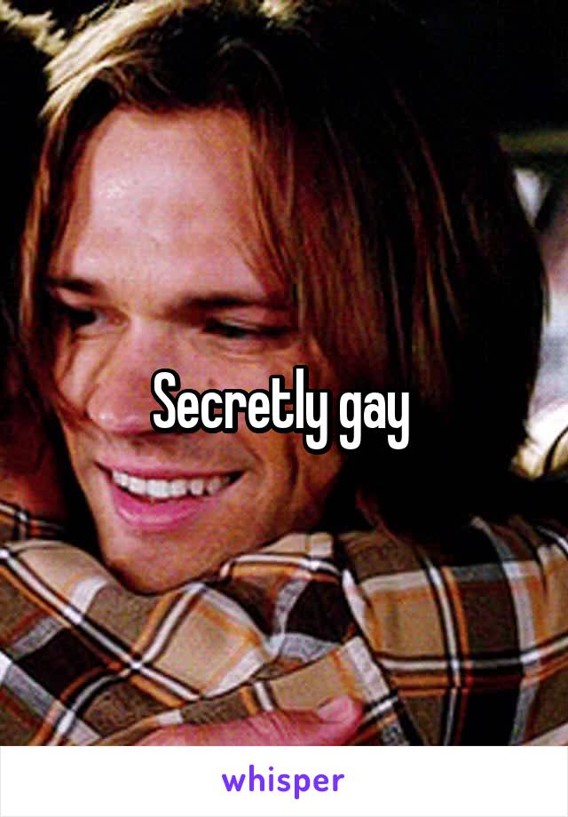 Secretly gay 