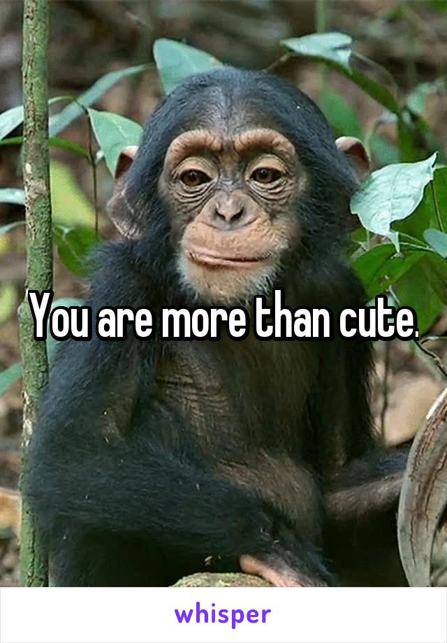 You are more than cute.