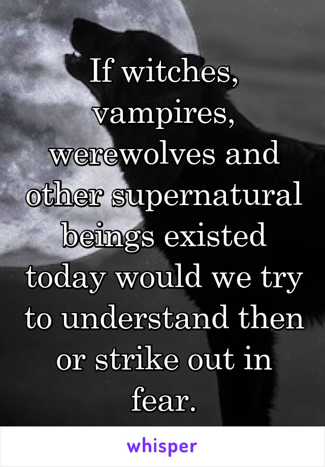 If witches, vampires, werewolves and other supernatural beings existed today would we try to understand then or strike out in fear.