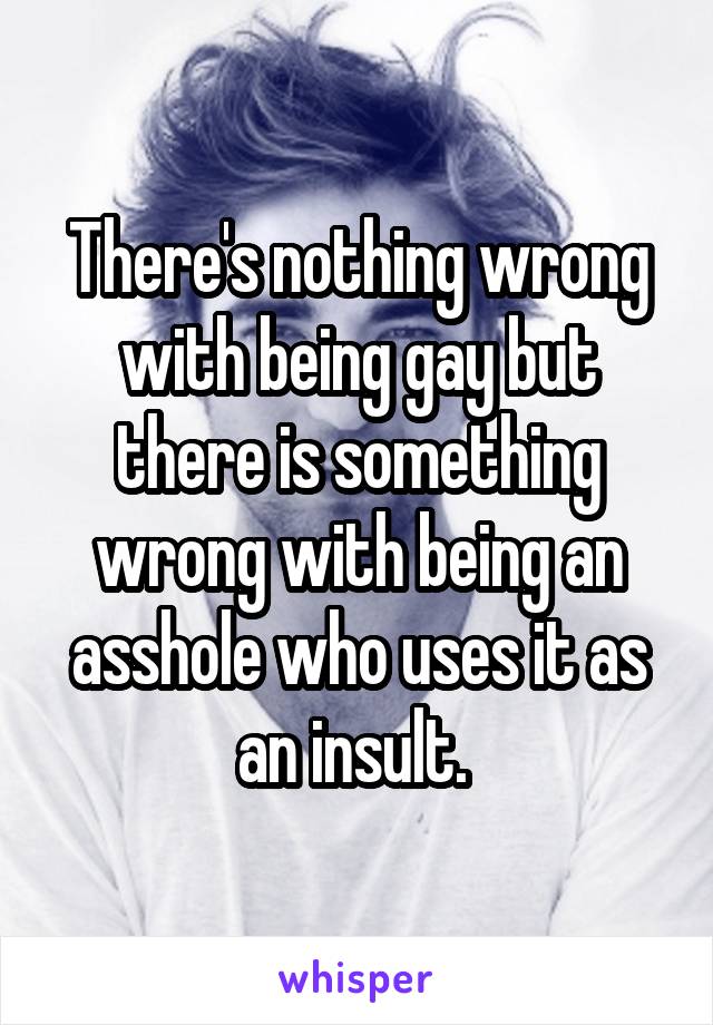 There's nothing wrong with being gay but there is something wrong with being an asshole who uses it as an insult. 