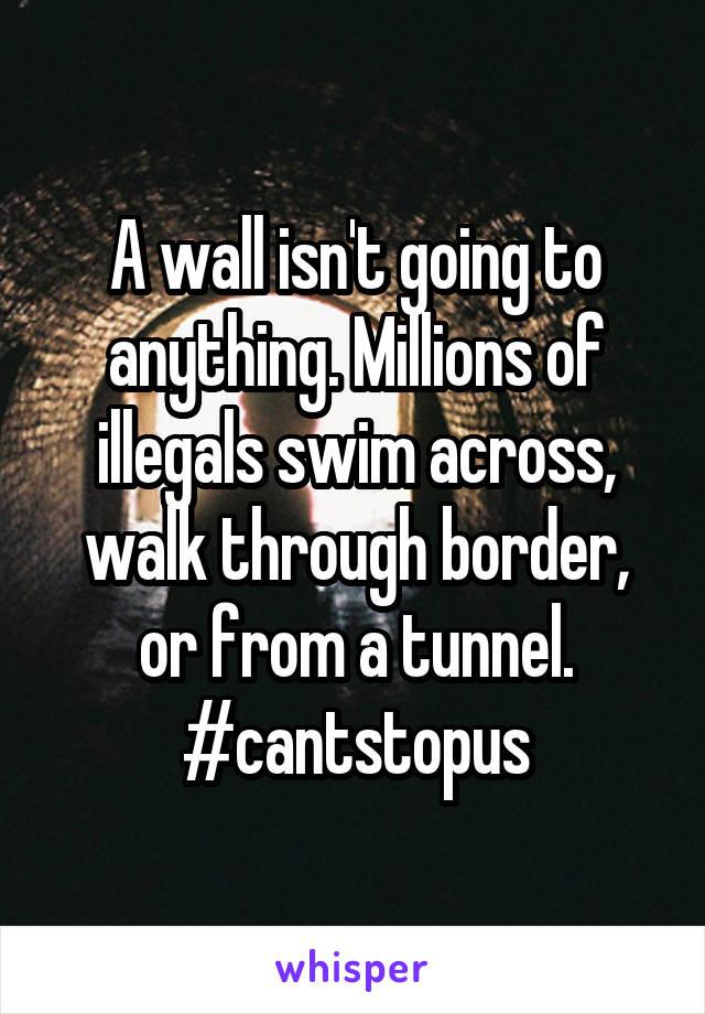 A wall isn't going to anything. Millions of illegals swim across, walk through border, or from a tunnel. #cantstopus