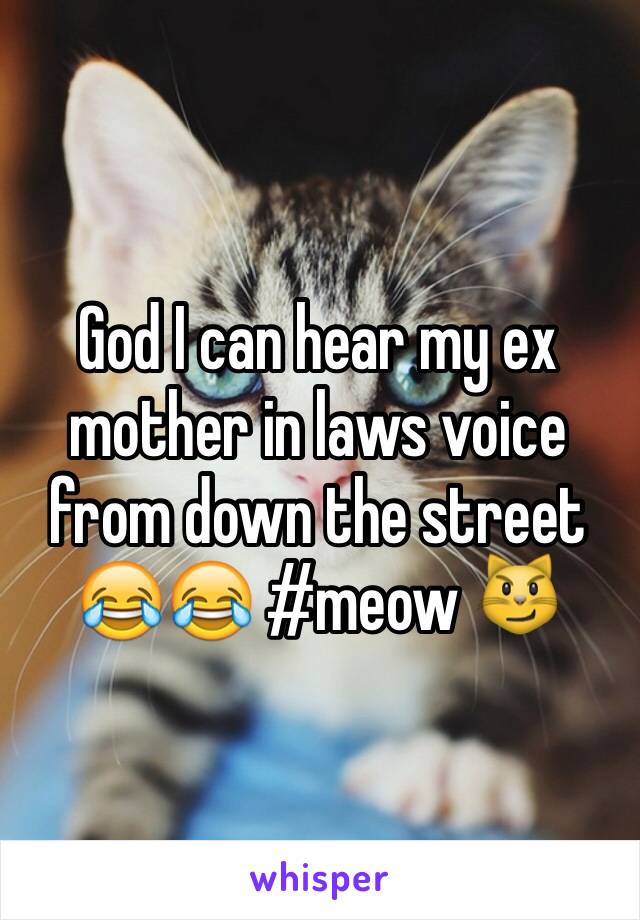 God I can hear my ex mother in laws voice from down the street 😂😂 #meow 😼