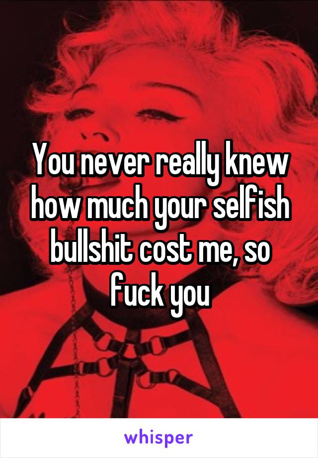You never really knew how much your selfish bullshit cost me, so fuck you