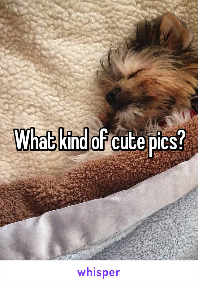 What kind of cute pics?