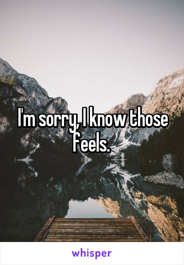 I'm sorry, I know those feels. 